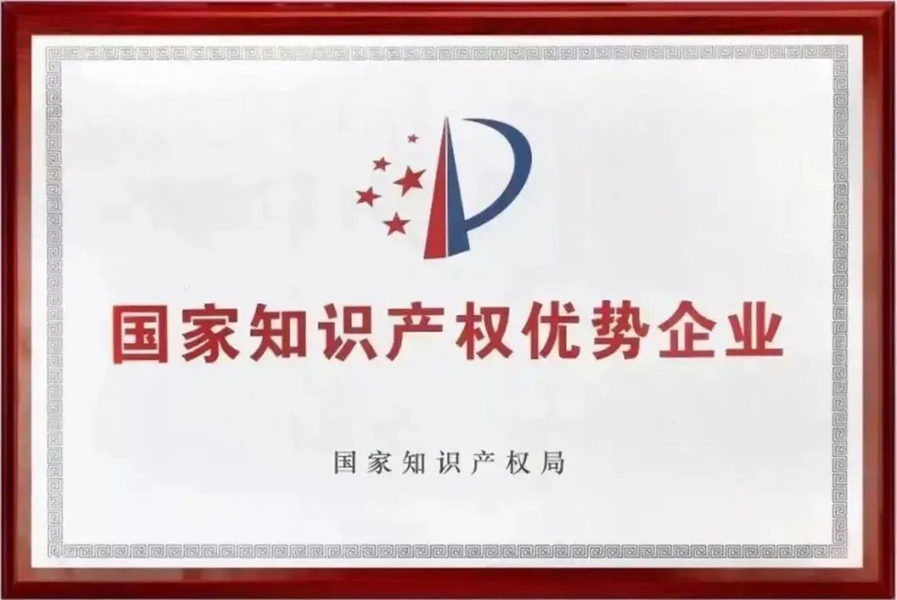熱烈祝賀我司獲評(píng)“國(guó)家級(jí)知識(shí)產(chǎn)權(quán)優(yōu)勢(shì)企業(yè)”認(rèn)定(圖3)