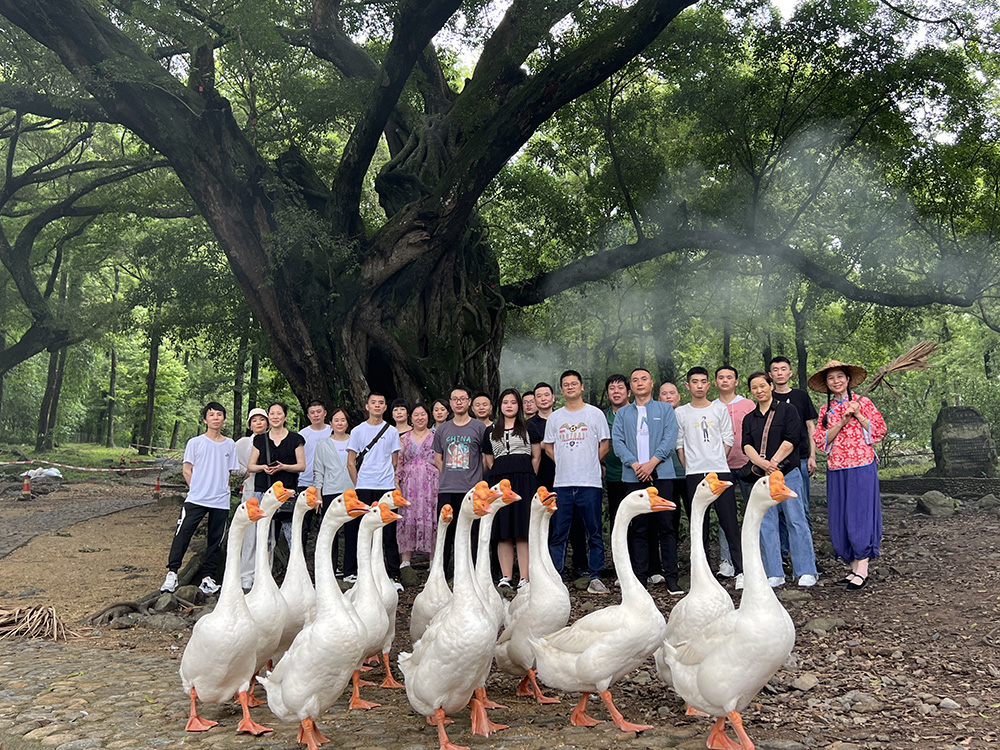 2023年職工療休養(yǎng)活動之二 | 福建霞浦三日游(圖3)